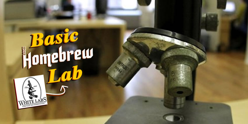 Tips for setting up a basic homebrew yeast lab