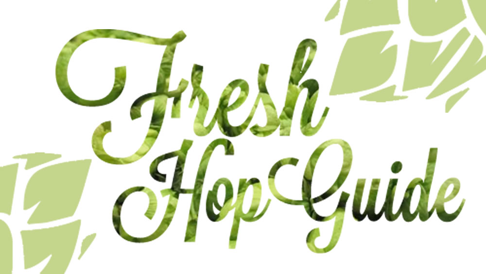 Featuring Wet Hopped Recipes for a BIG Hop Punch