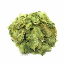 Saaz Leaf Hops (Czech)