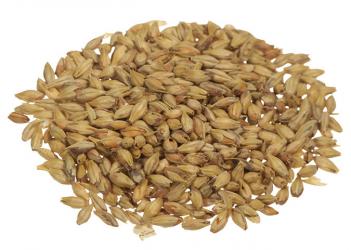 Aromatic Malt 1 lb